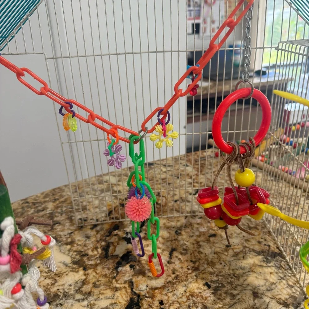 Vibrant Hanging Bird Toy Set with Rope and Beads